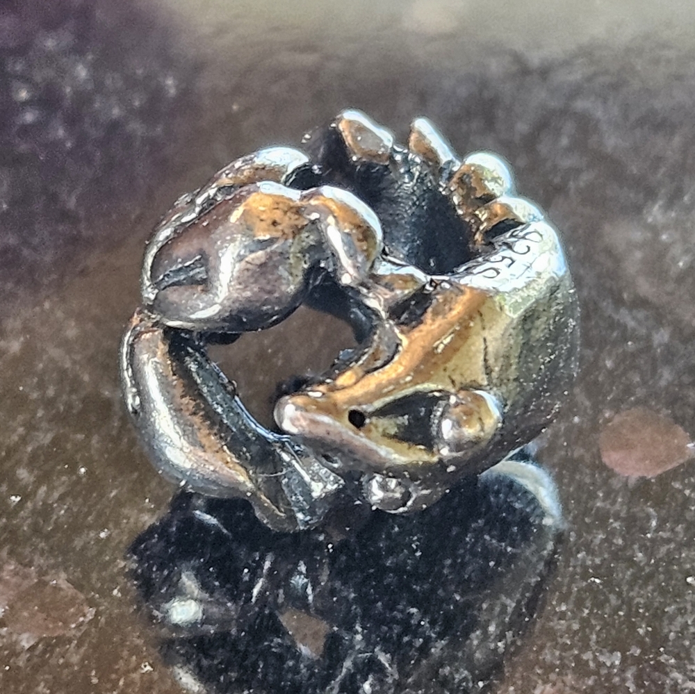 Retired Trollbeads Sterling Silver Cancer Bead TAGBE-30101